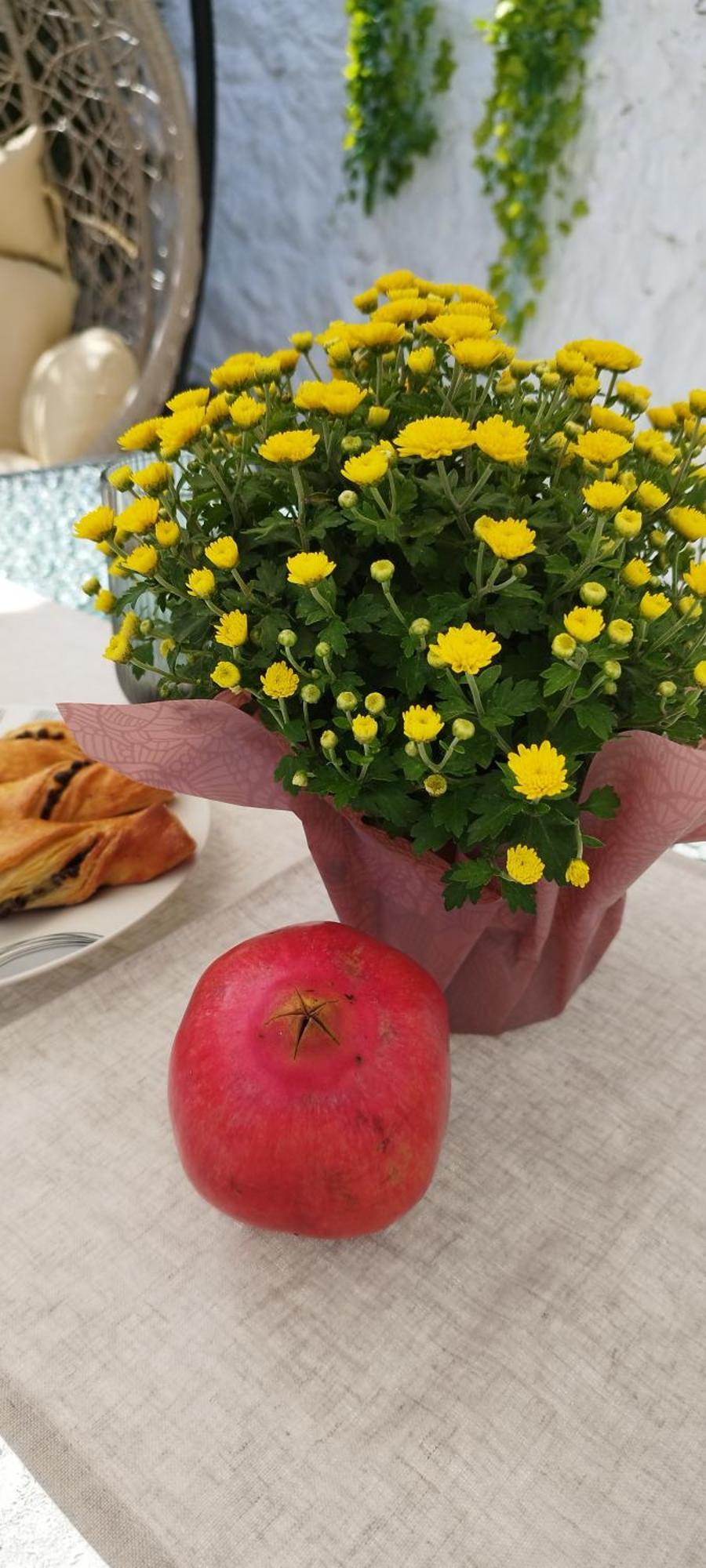 Ma Maison نافبليو المظهر الخارجي الصورة